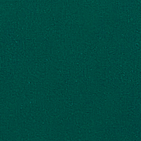 Super Emerald Green Velvet Samples - R03542
