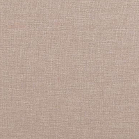 Tortilla Brown Fabric Samples - R0353004