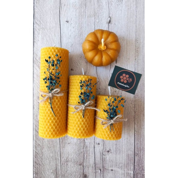 100% Pure Handmade Beeswax Pumpkin Candle - Gift Box Set